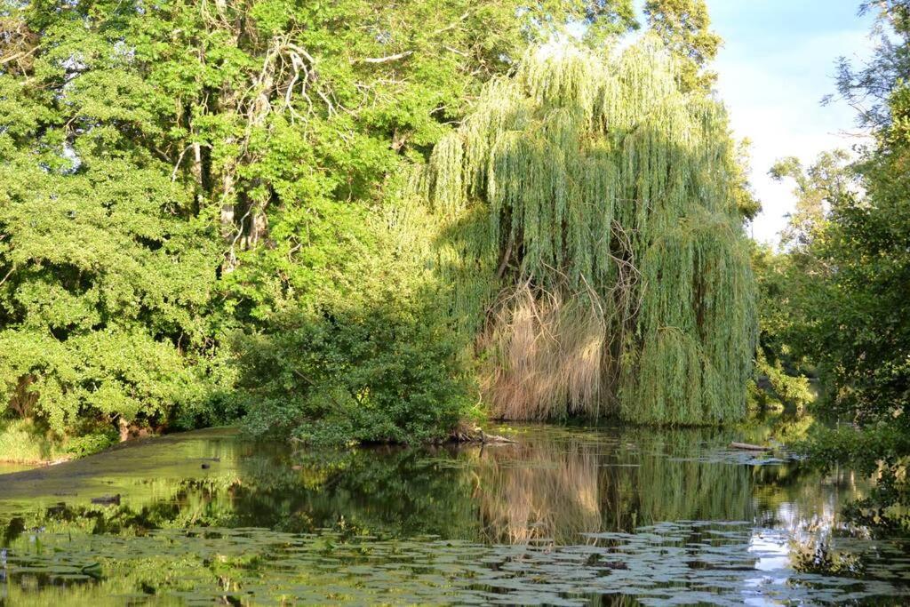 Magnifique Moulin Proche Chablis, Jacuzzi Et Riviere Villa Annay-sur-Serein Екстериор снимка