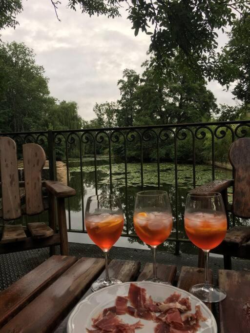 Magnifique Moulin Proche Chablis, Jacuzzi Et Riviere Villa Annay-sur-Serein Екстериор снимка