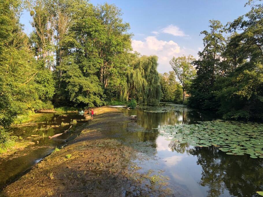 Magnifique Moulin Proche Chablis, Jacuzzi Et Riviere Villa Annay-sur-Serein Екстериор снимка